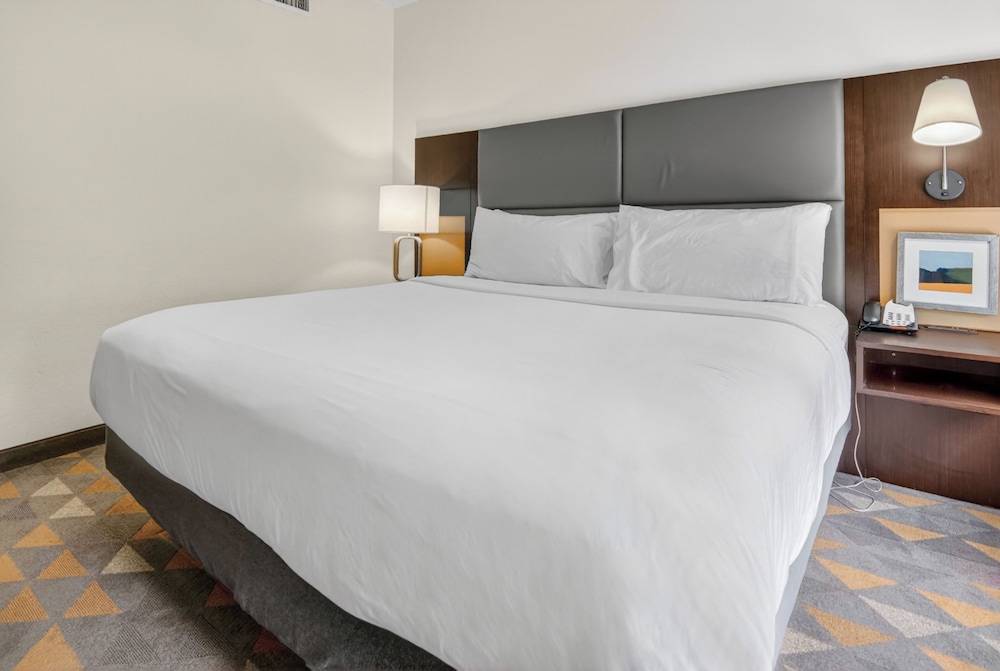 جناح بسرير كينج بغرفة نوم واحدة لذوي الإعاقة، Holiday Inn Express Hotel And Suites Dallas Addison 3/5