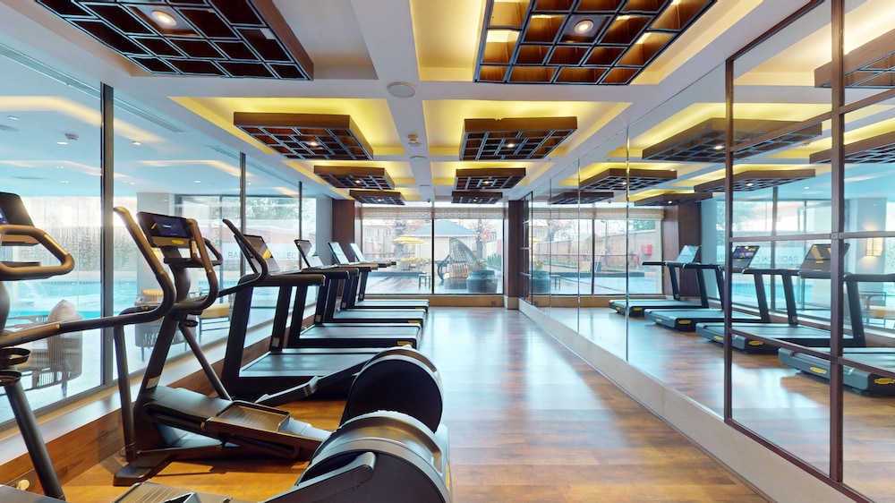Radisson Collection Hotel & Spa, Riverfront Srinagar 28/50