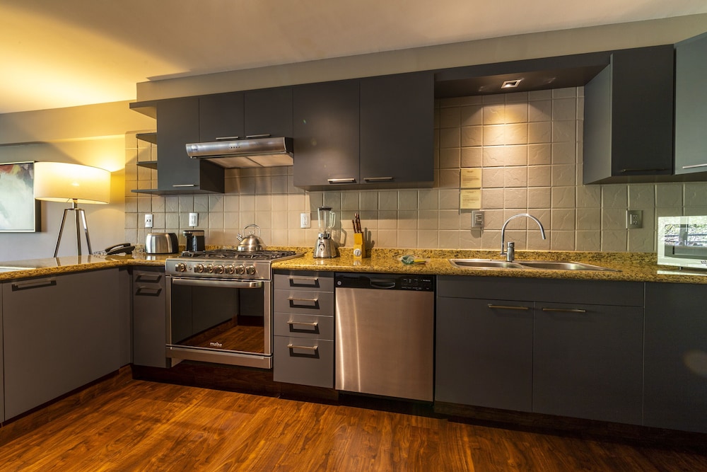 Dominion Polanco Ex Dominion Corporate Suites 2/50