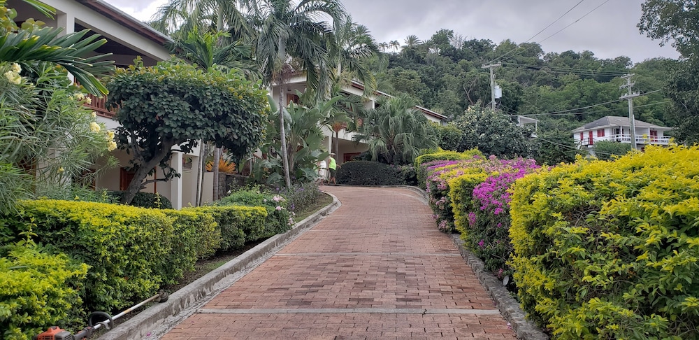 Antigua Yacht Club Marina Resort 43/50