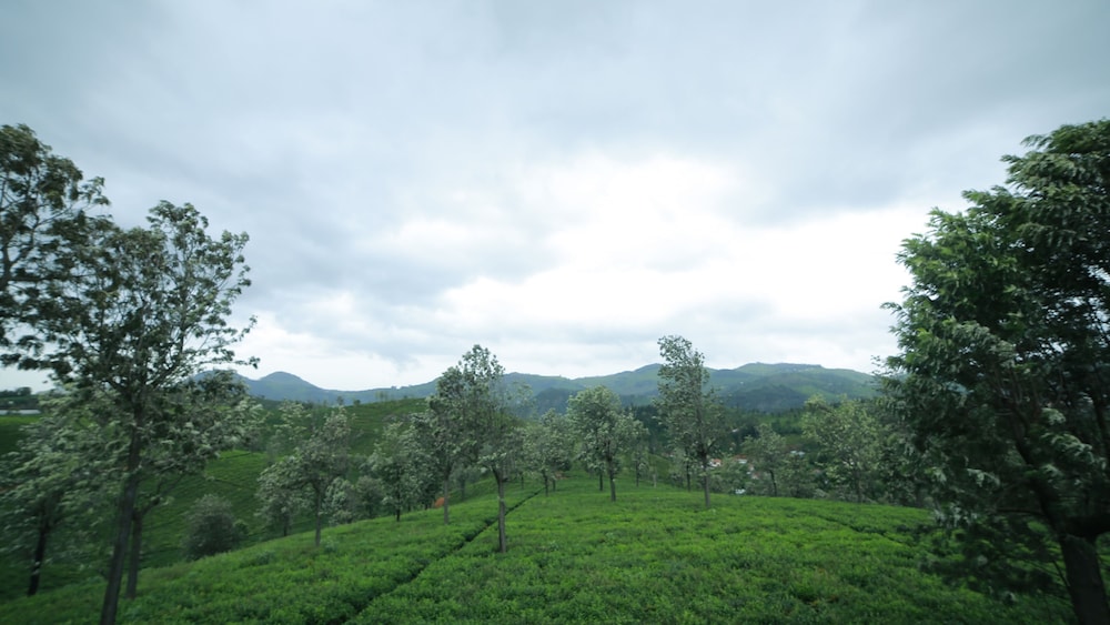 Sunvalley Homestay 26/32