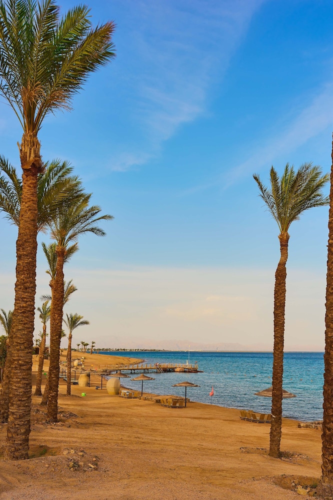 Retac Qunay Dahab Resort 43/50