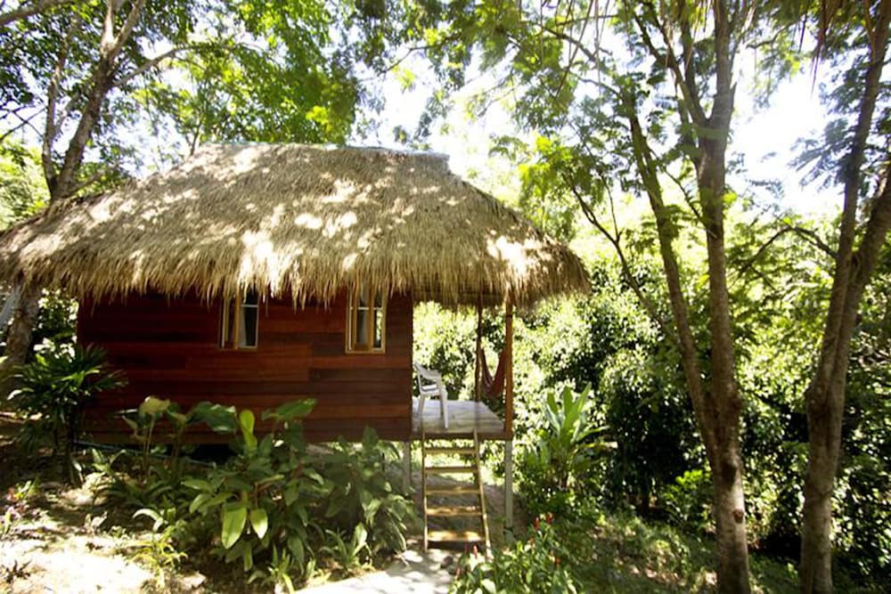 Rabbit Bungalow 36/38