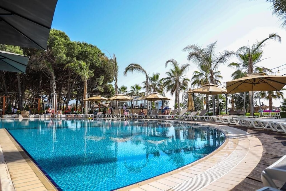 VM Resort 44/66