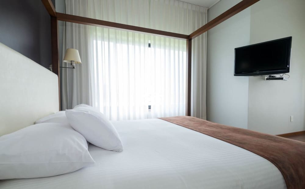 Regency Park Hotel 13/48