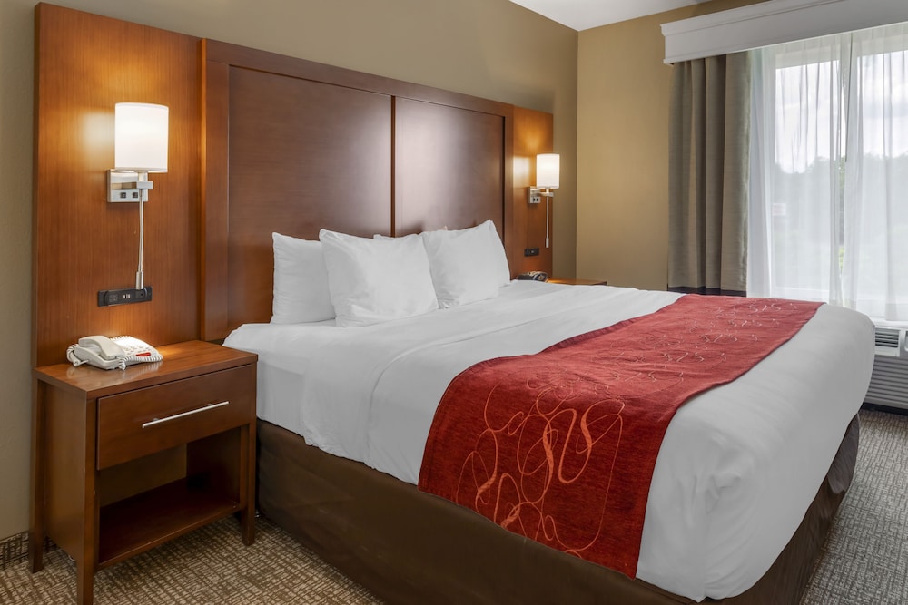 Suite, King Bed, Sofa, Accessible
