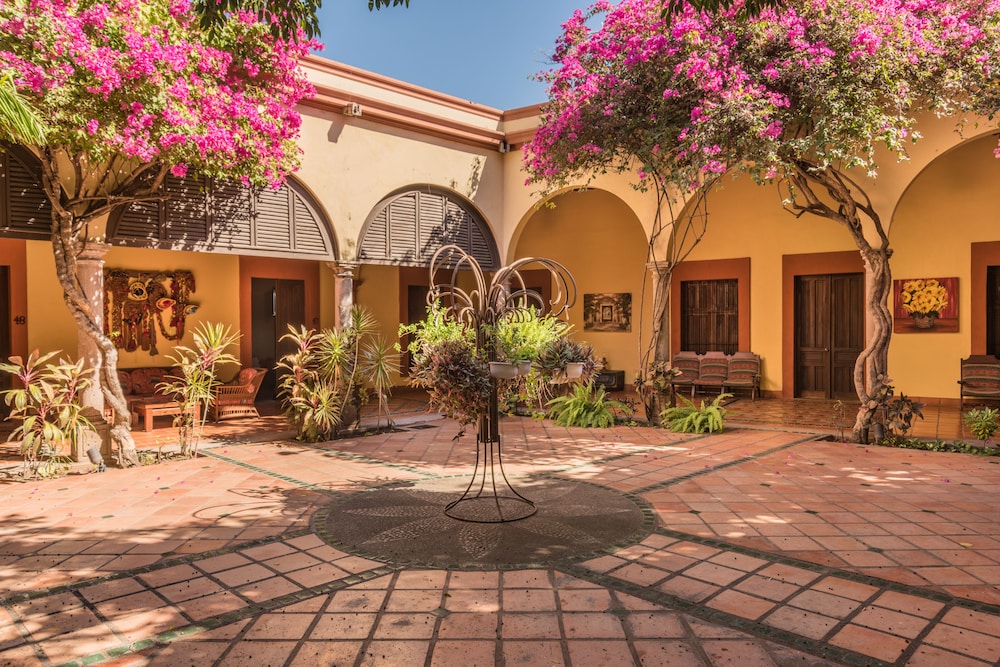 Posada Del Hidalgo 45/50