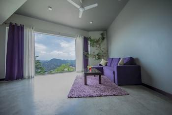 Junior Suite, Studio