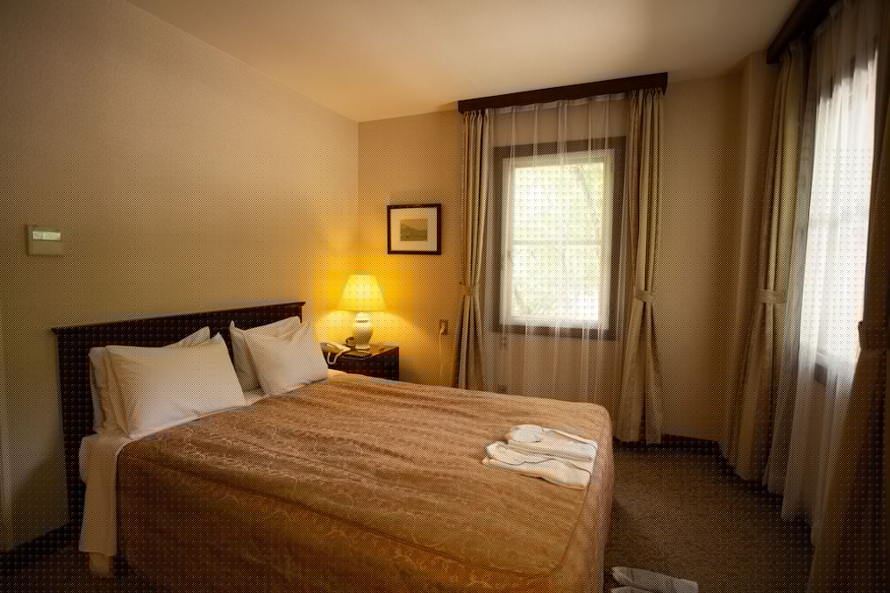 KYU KARUIZAWA HOTEL OTOWA NO MORI 8/66