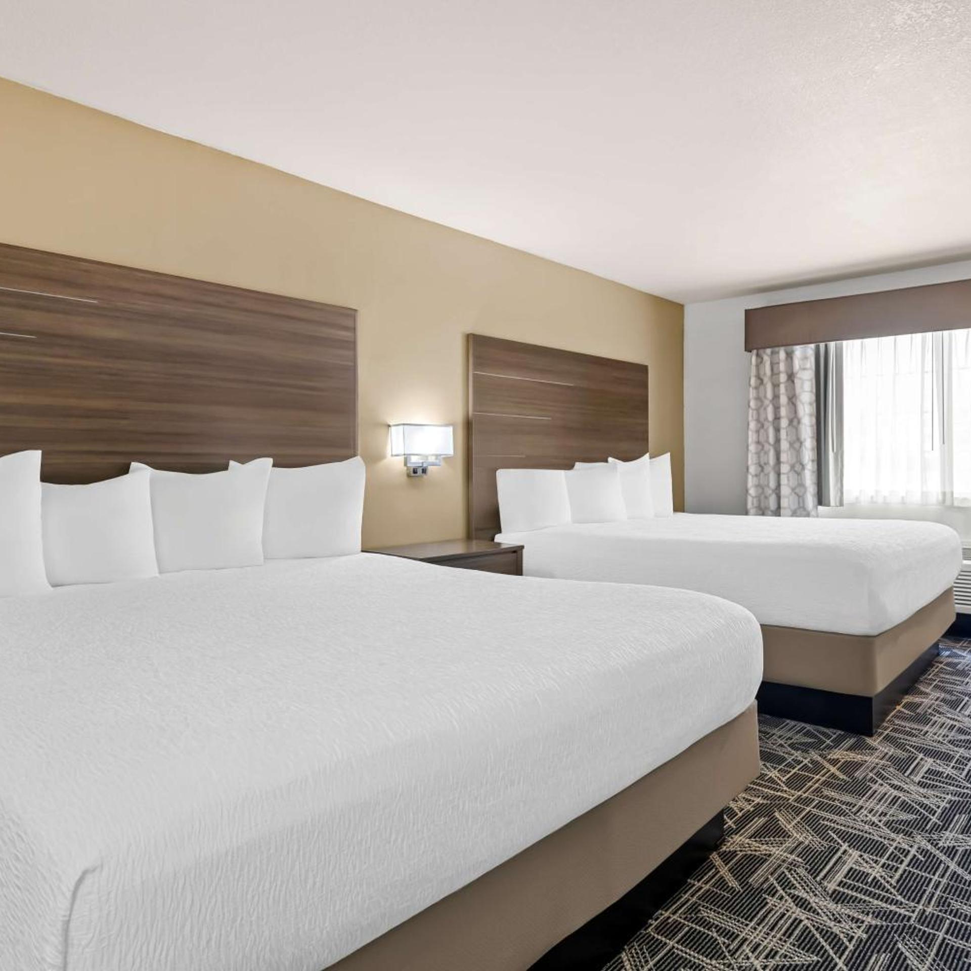 Executive, Suite, King Bed, 4 King Beds, Large