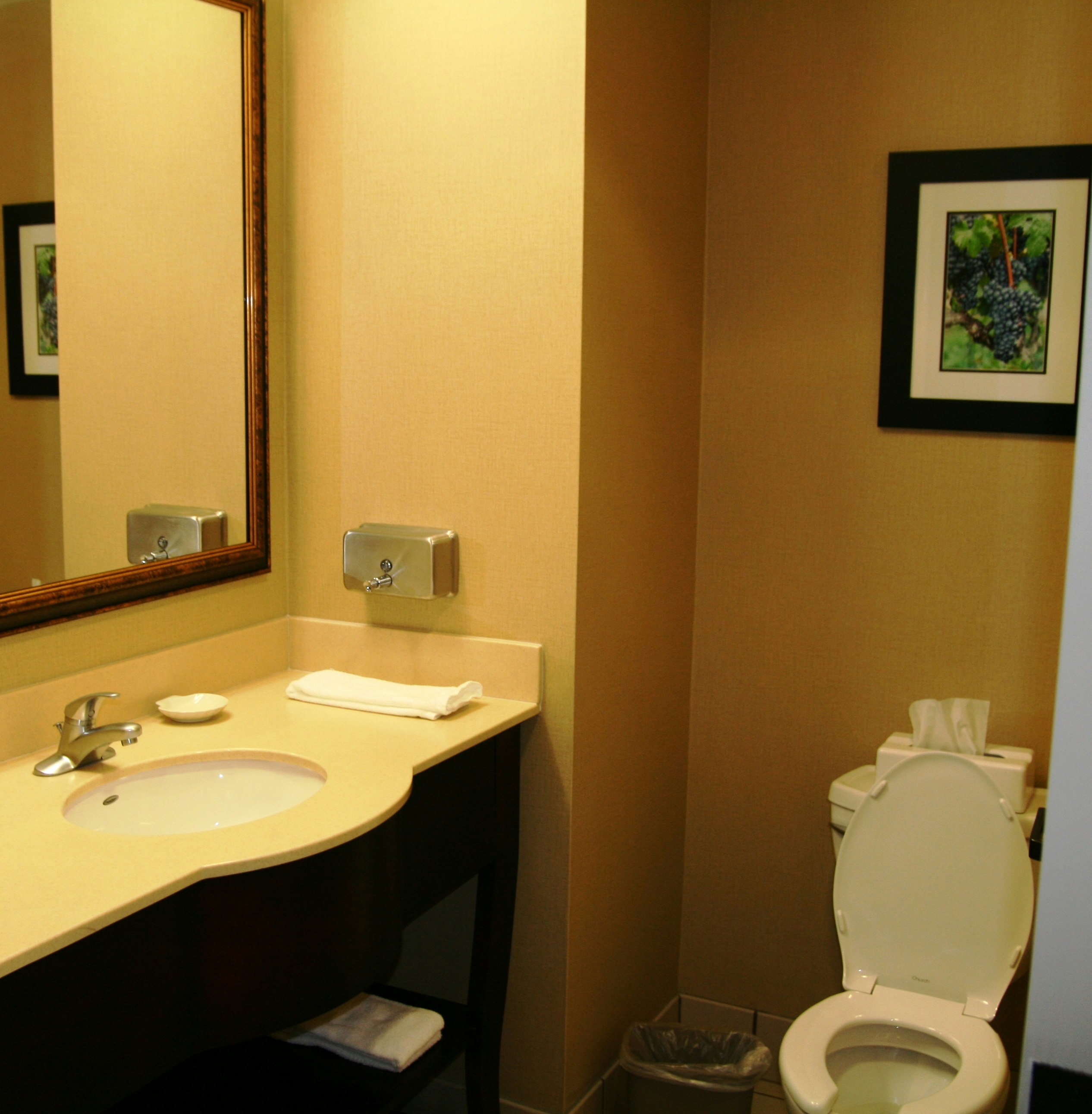 Hampton Inn Mount Airy 52/52