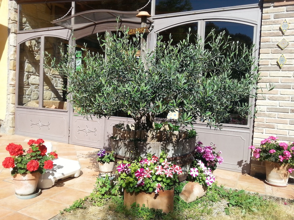 Agriturismo L'uliveto 7/50