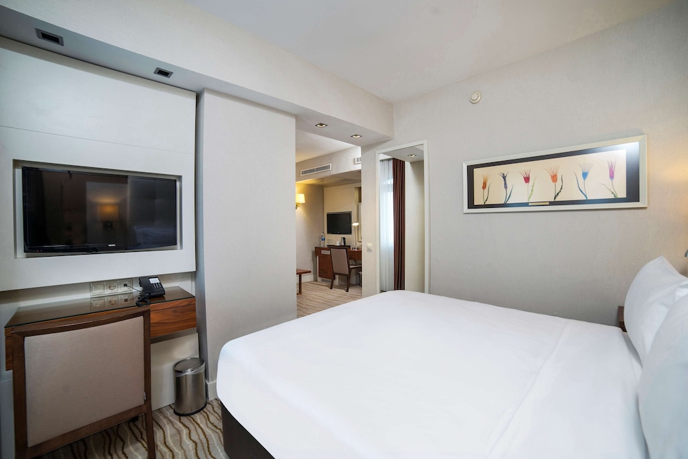 Radisson Hotel Istanbul Sultanahmet 21/50