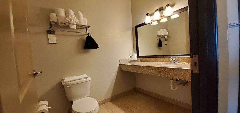 Best Western Plus Emory At Lake Fork Inn And Suites 10/42