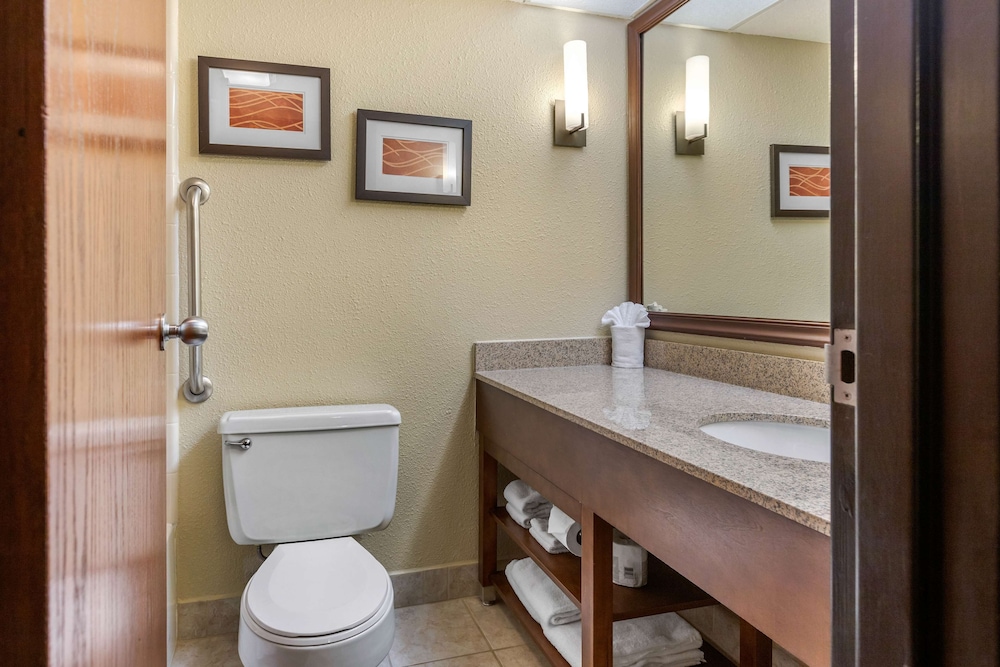 Comfort Inn Grand Rapids Airport 9/35