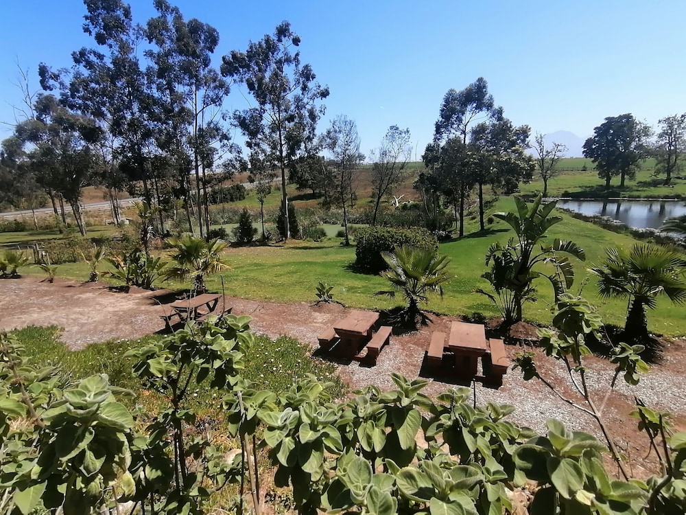Ibis Place Guest House 40/50