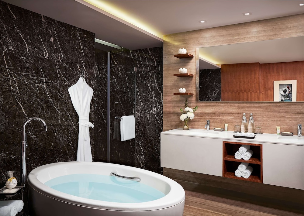 Grand Hyatt Mumbai Hotel and Residences 42/75