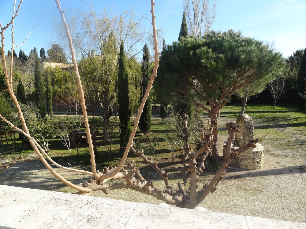 Locations Des Alpilles 38/50