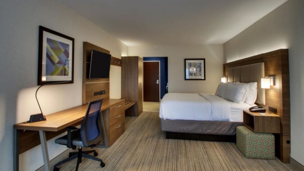 Holiday Inn Express Hotel Suites Mount Pleasant 17/61