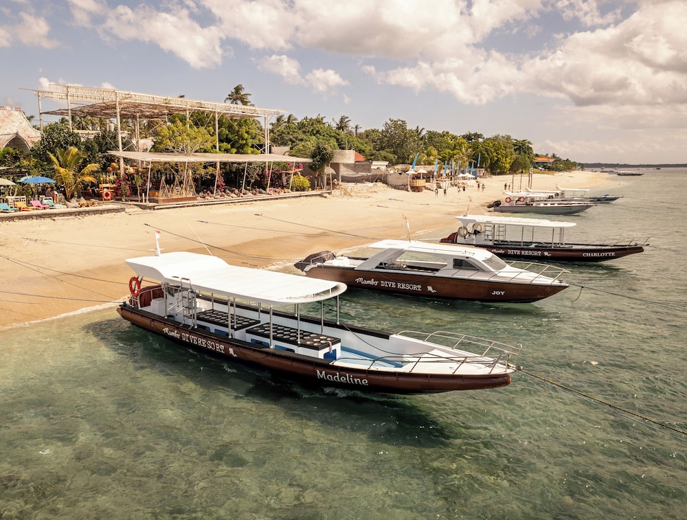 Mambo Beach Resort 26/30
