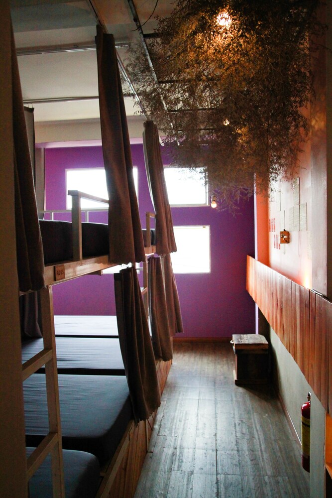 Gaia Hostel 21/31