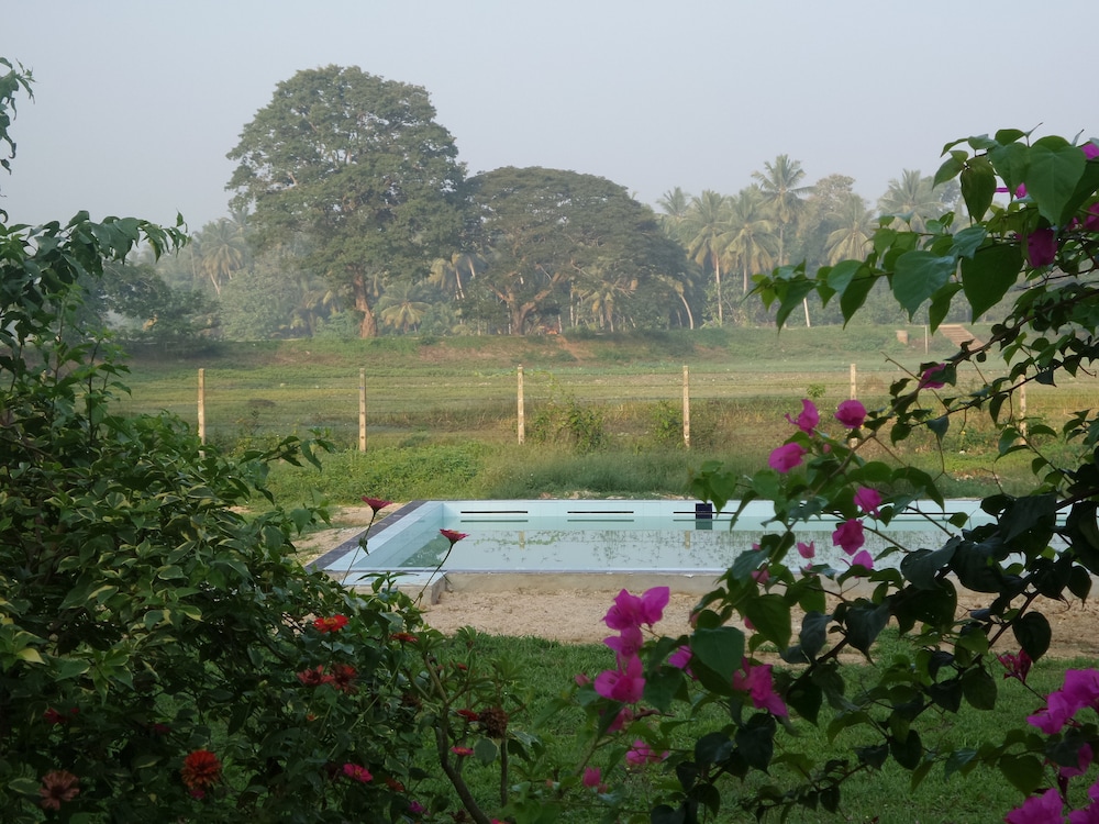 Cocoworld Bungalow 36/50