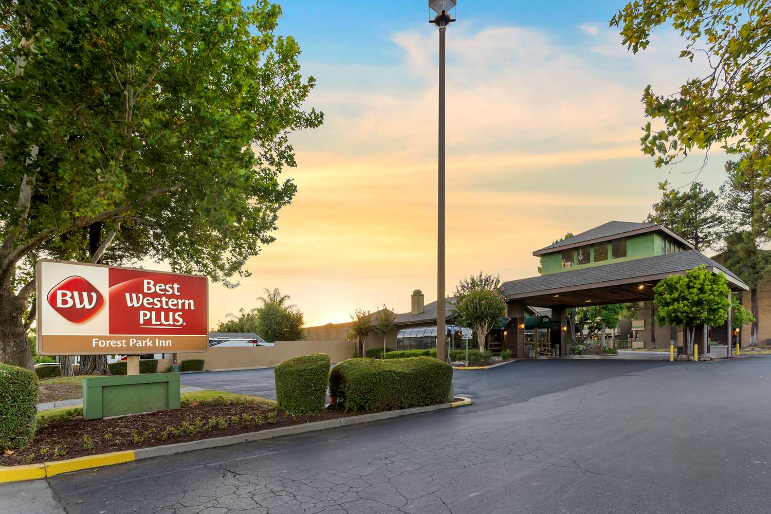 Best Western Plus Forest Park Inn 50/53