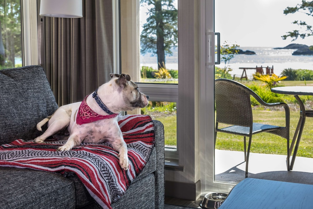 Best Western Plus Tin Wis Resort 27/66