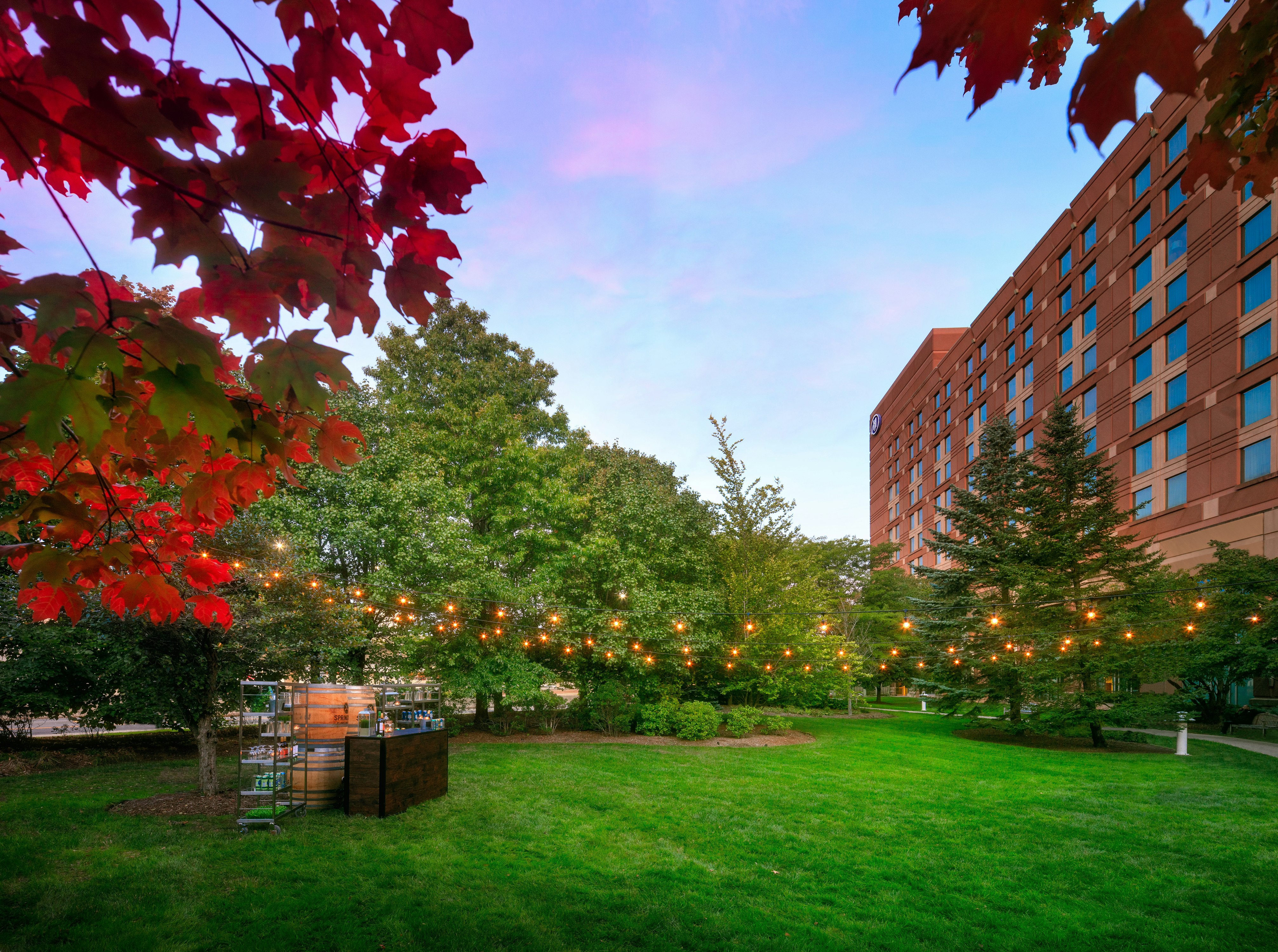 Hilton Boston Logan Airport 36/38