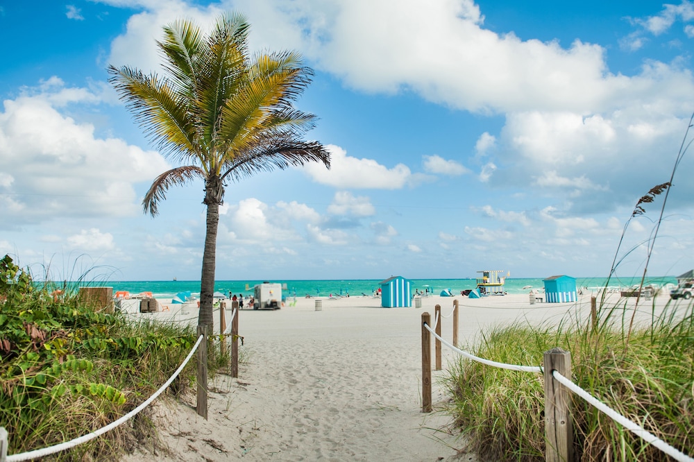 Hyatt Centric South Beach Miami 64/65