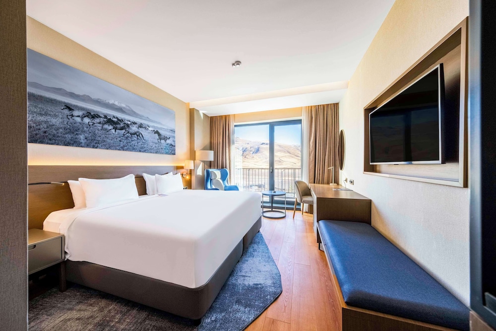 Radisson Blu Hotel, Mount Erciyes 9/31