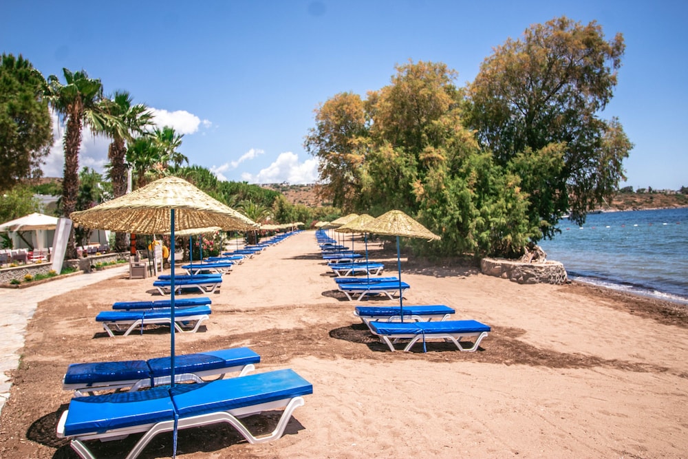 Club Muskebi Hotel 39/50
