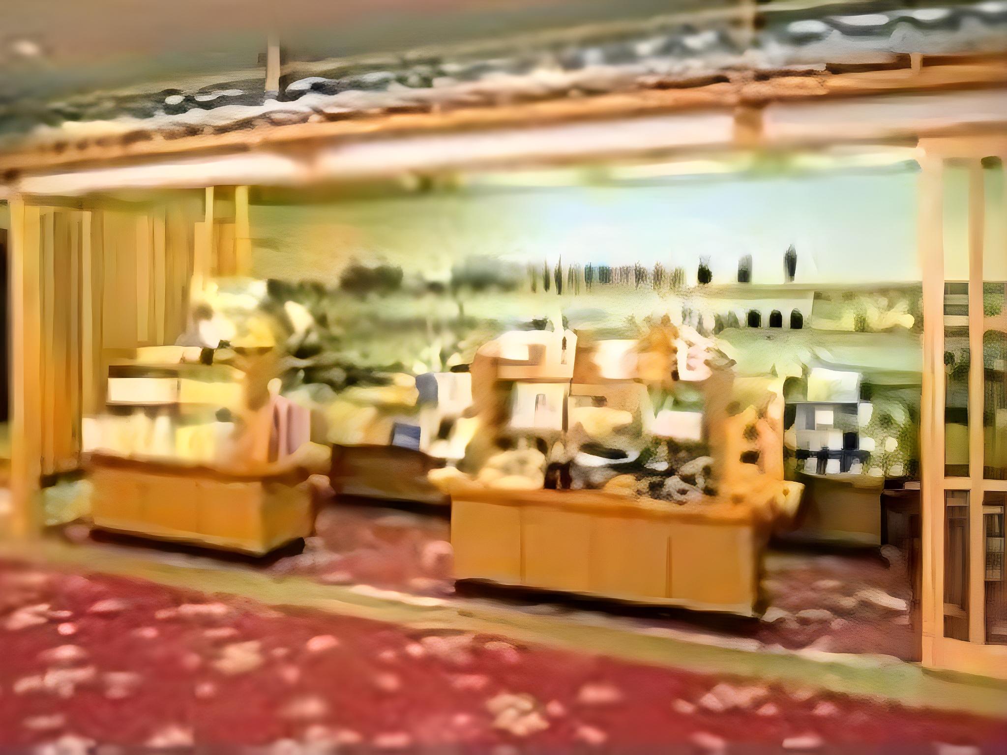 Hotel Hamarikyu 29/32
