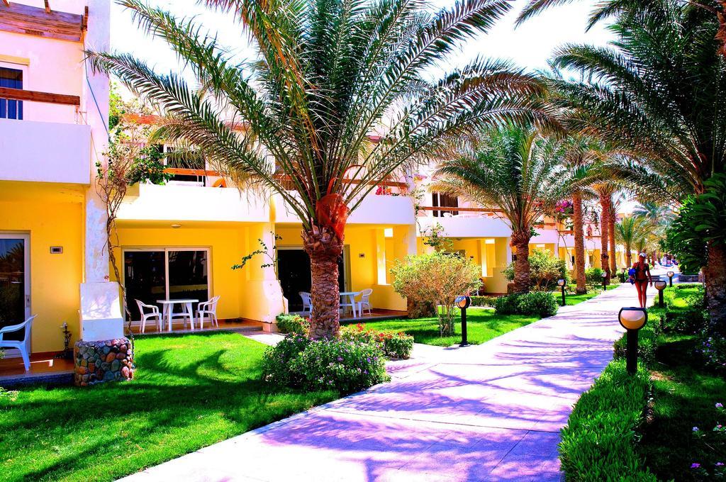 Palm Beach Resort 37/38
