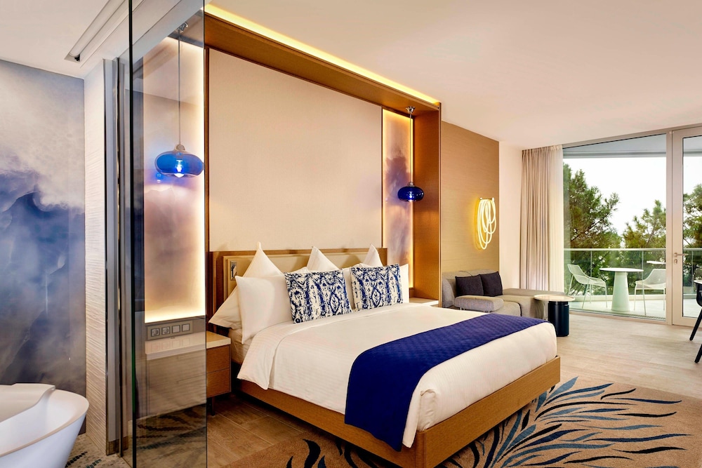 Paragraph Resort Spa Shekvetili Autograph Collection 18/78