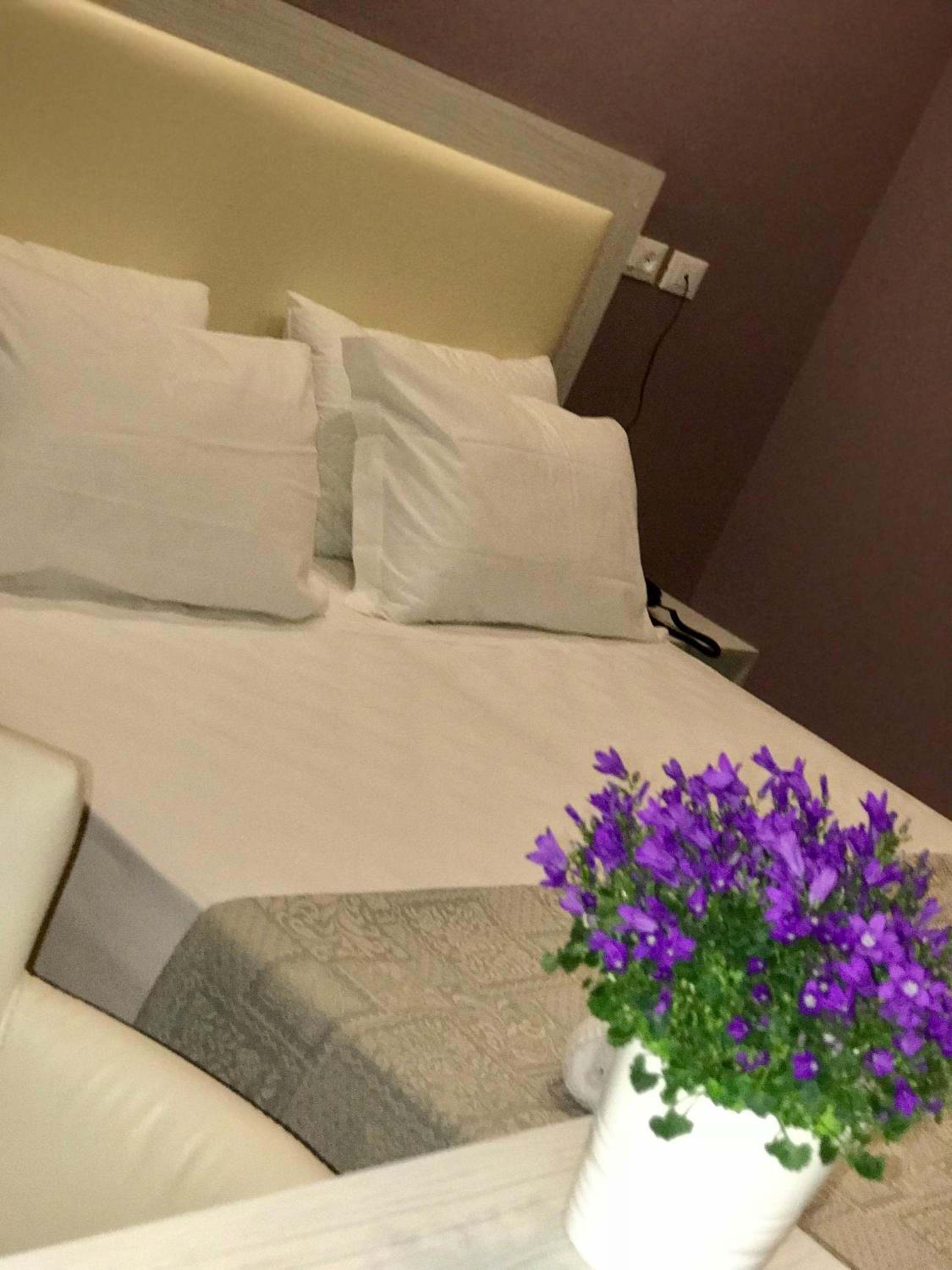 Hotel Paganini 5/50