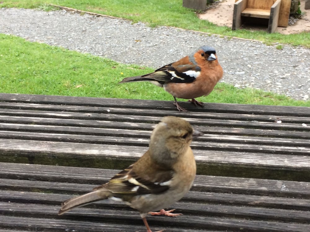 Exmoor House - Guest House 22/50