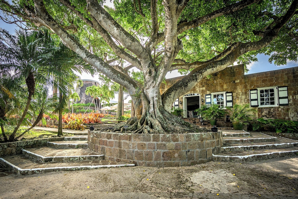 Montpelier Plantation & Beach 37/50