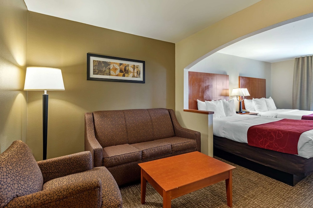 Comfort Suites North Dallas photo2
