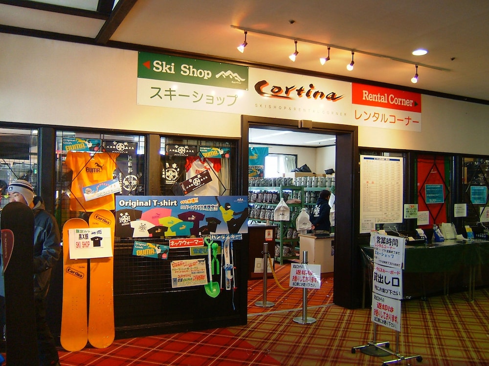 Hotel Green Plaza Hakuba 39/50