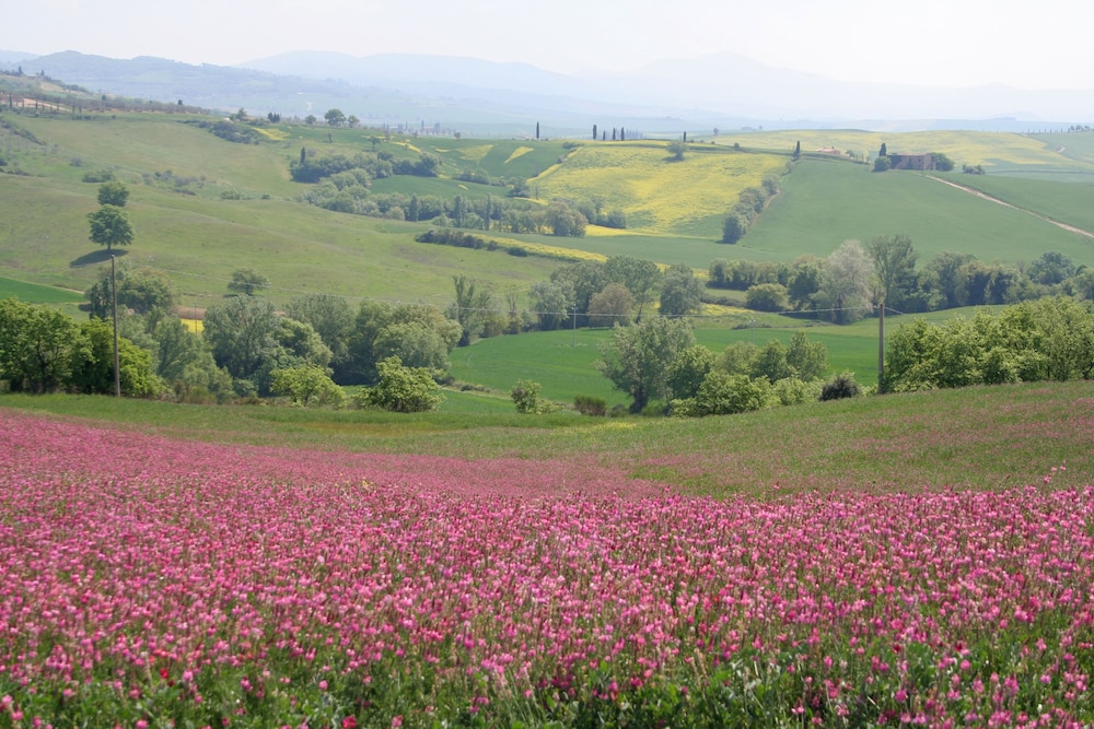 Agriturismo Poggio Tobruk 19/28