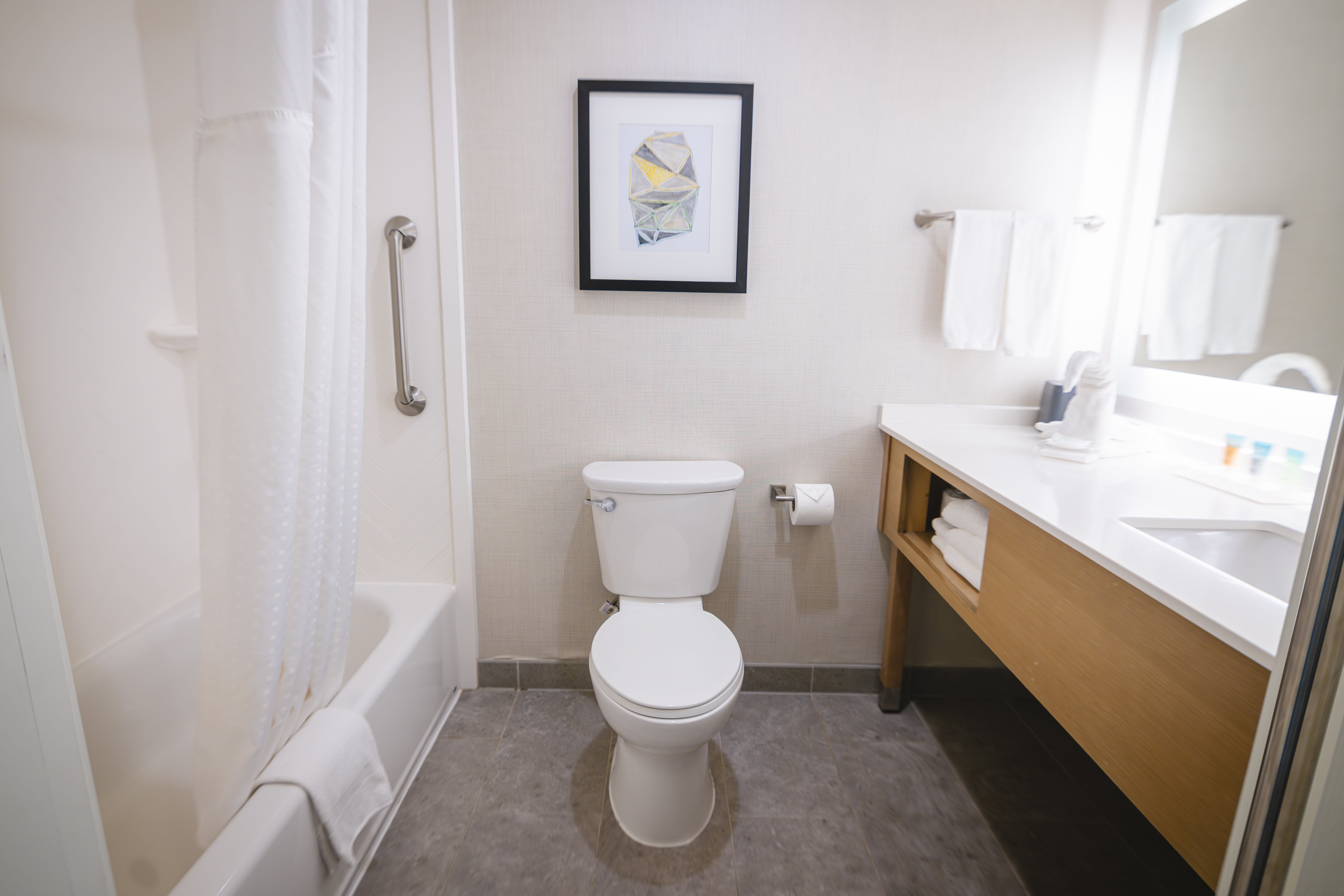 Holiday Inn & Suites Houston NW - Willowbrook 58/60