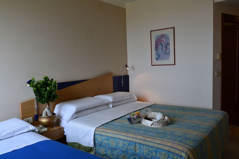 Park Hotel Sant Elia 8/40