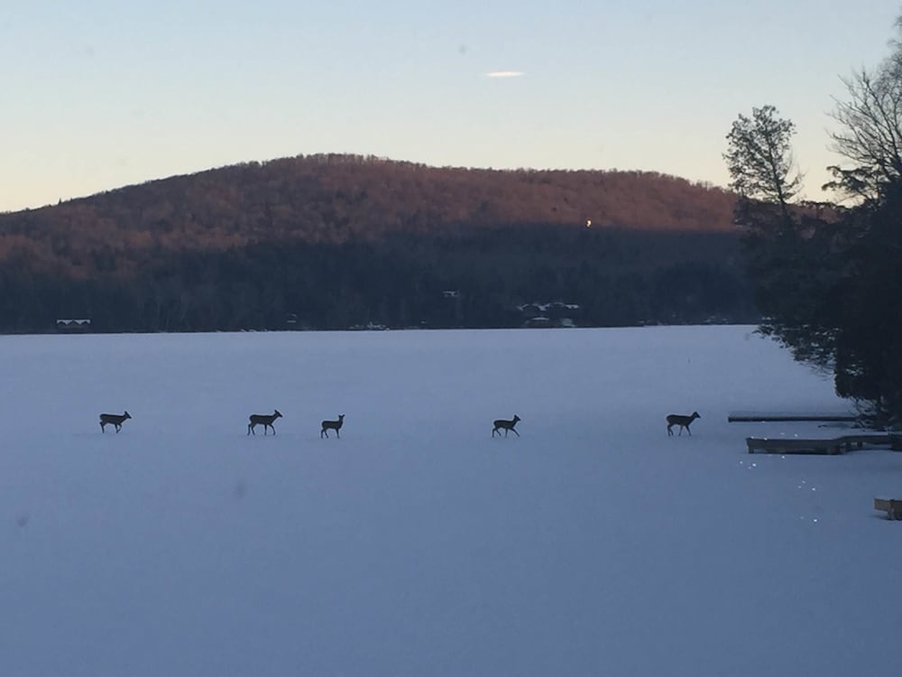 Kiwassa Lake Bed & Breakfast and Cabins 41/50