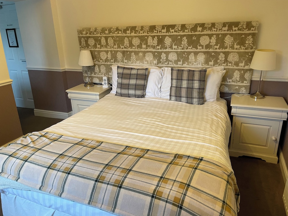 OYO New Inn Hotel 26/52