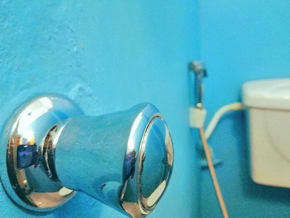 White Guest photo3