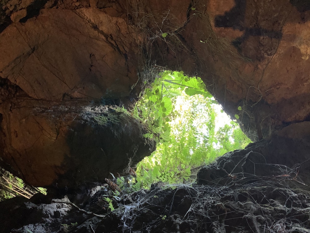 Panorama [VR] 62/62