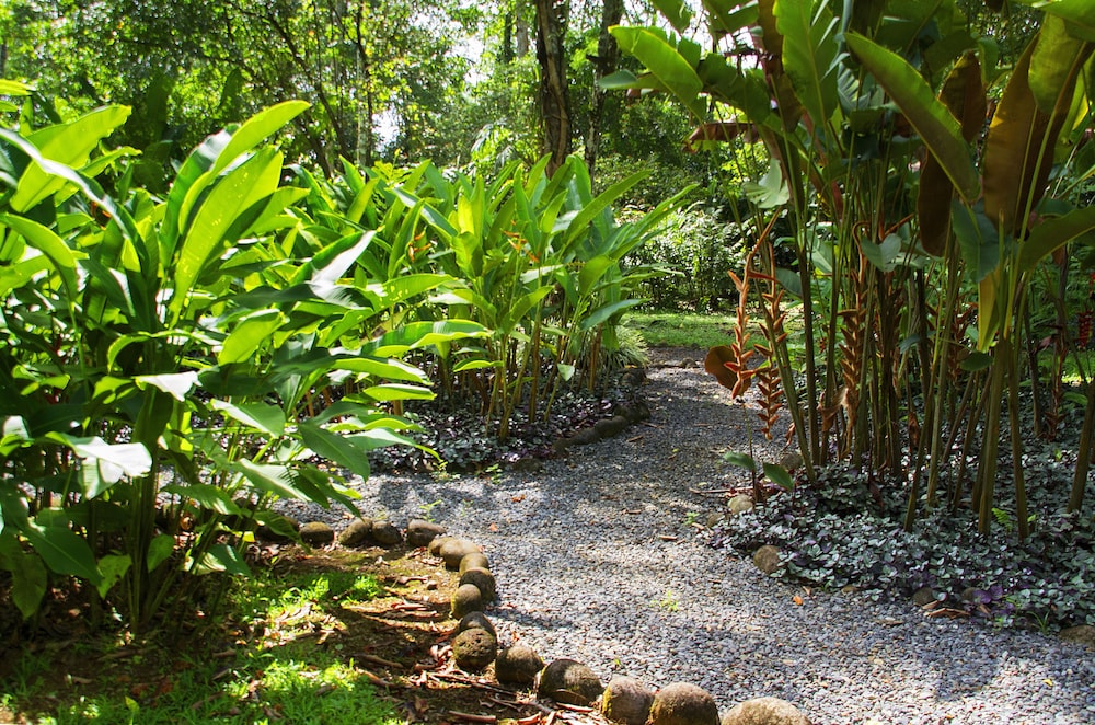 Selva Verde Lodge 64/68