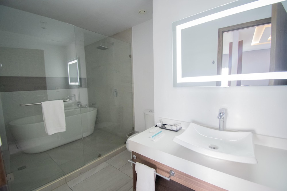 Wyndham Puebla Angelopolis 46/46