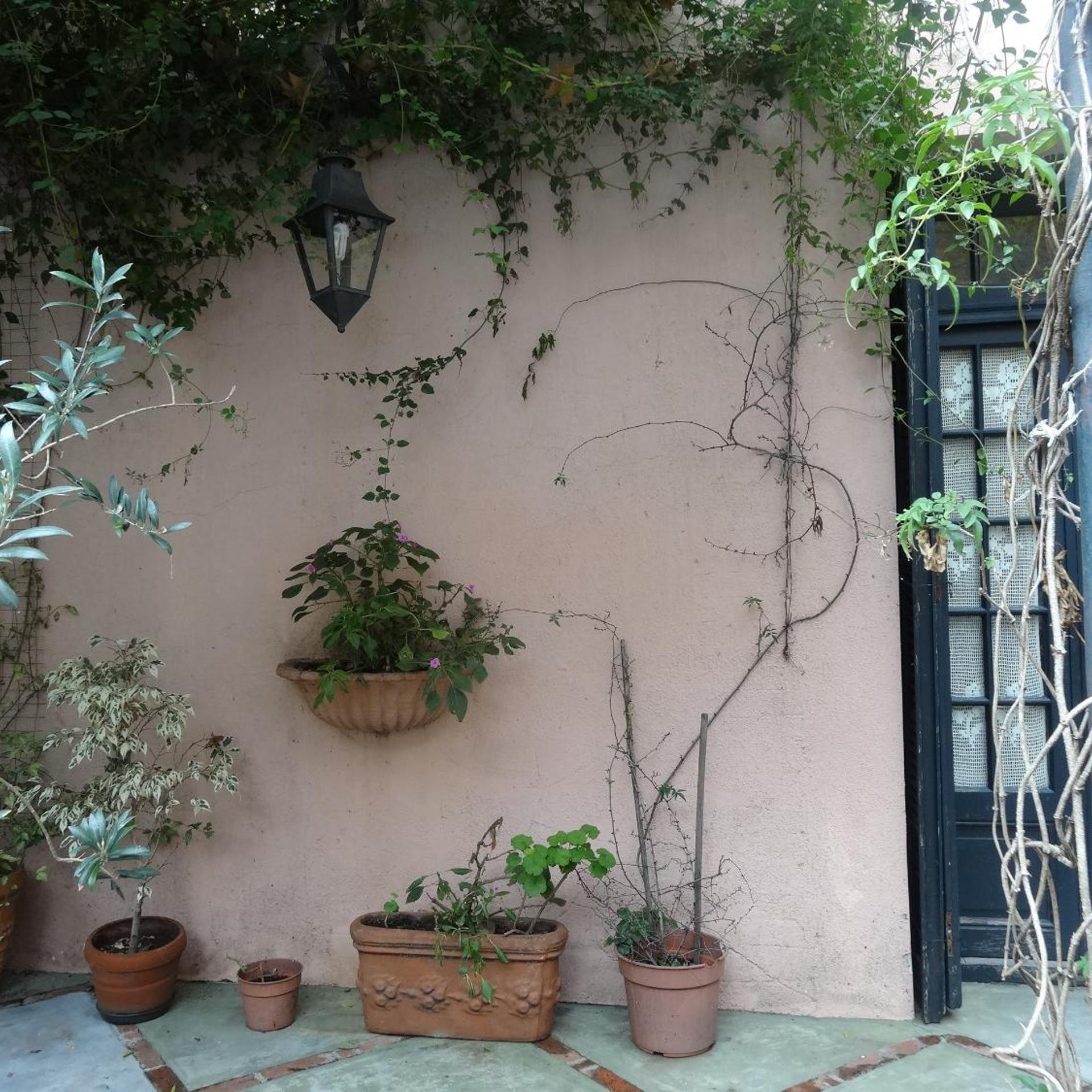 POSADA DE LA FLOR 3/50